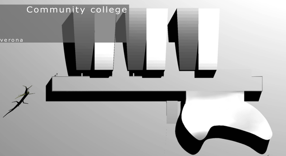Community college
